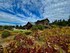 Comstock Wines
