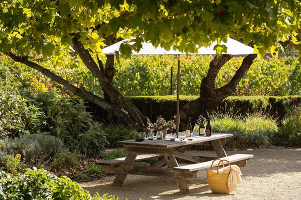 leaf, green, plants, furniture, outdoor furniture, garden