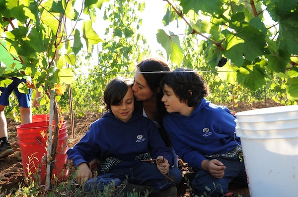community, smile, recreation, spring, people in nature, leisure