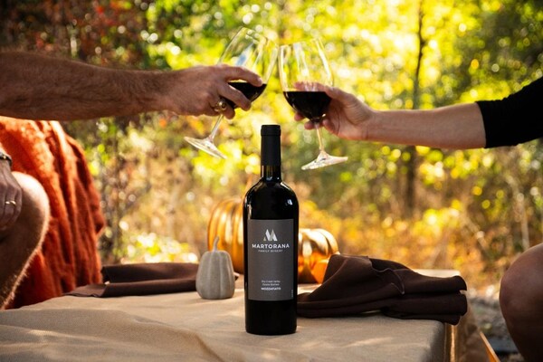 bottle, alcoholic drink, glass bottle, liquid, wine bottle, alcohol