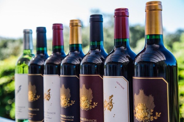 bottle, alcoholic drink, alcohol, glass bottle, wine bottle, wine