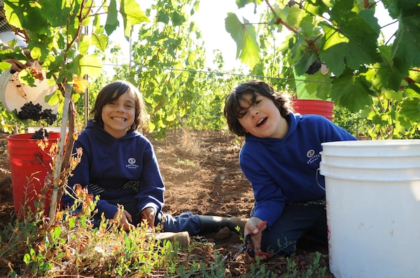smile, community, happiness, fun, recreation, people in nature