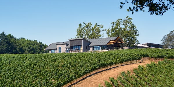 land lot, agriculture, plantation, vineyard, cottage, estate