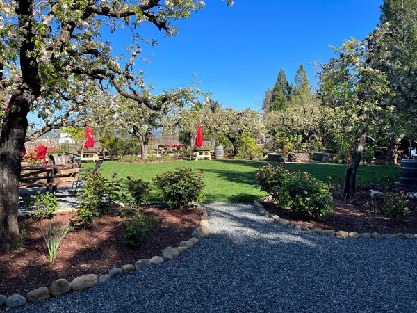 leaf, plants, shrub, garden, landscape, groundcover