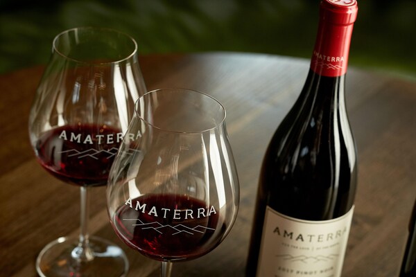 bottle, drinkware, stemware, tableware, barware, liquid