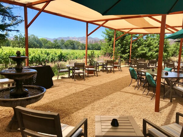 table, furniture, property, plant, chair, shade