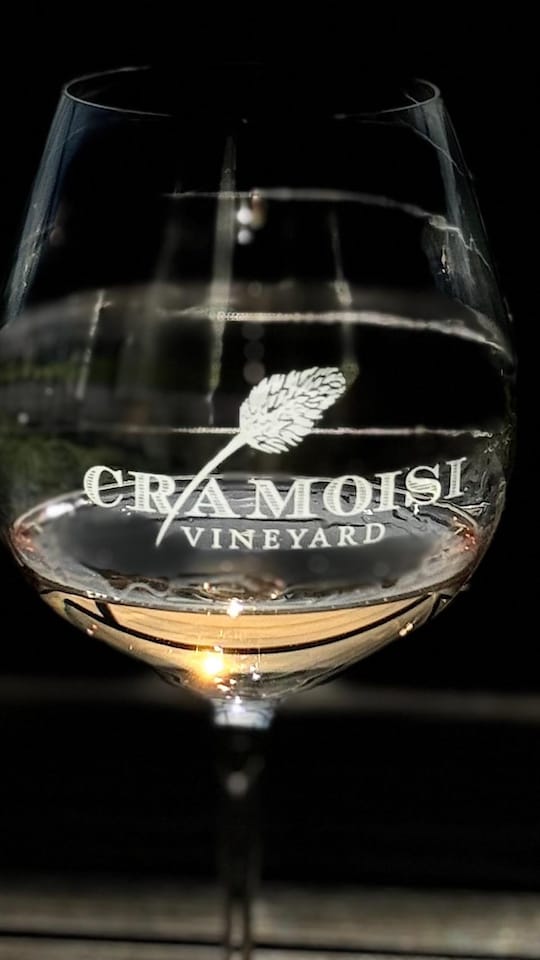 stemware, tableware, barware, drinkware, champagne glass, wine glass