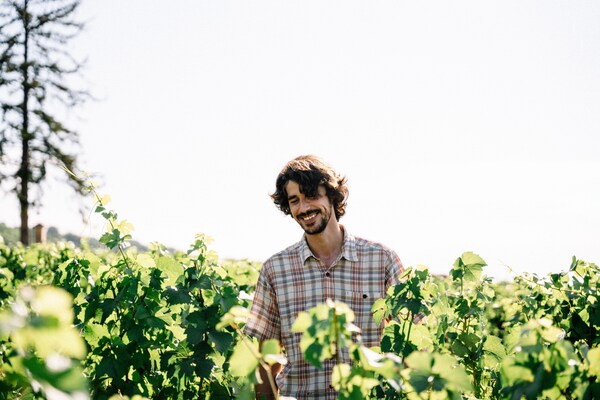 summer, agriculture, people in nature, plantation, beard, facial hair