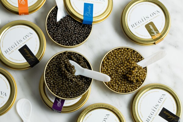 caviar, food