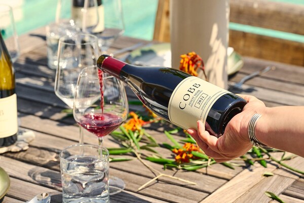 bottle, alcoholic drink, alcohol, glass bottle, wine bottle, drinkware