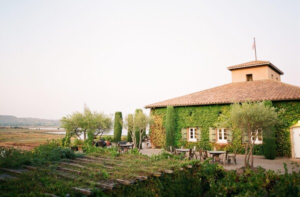 plantation, agriculture