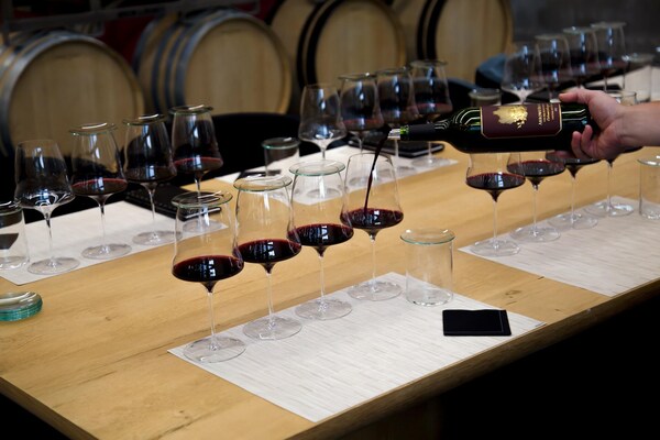 tableware, drinkware, stemware, wine, wine glass, barware