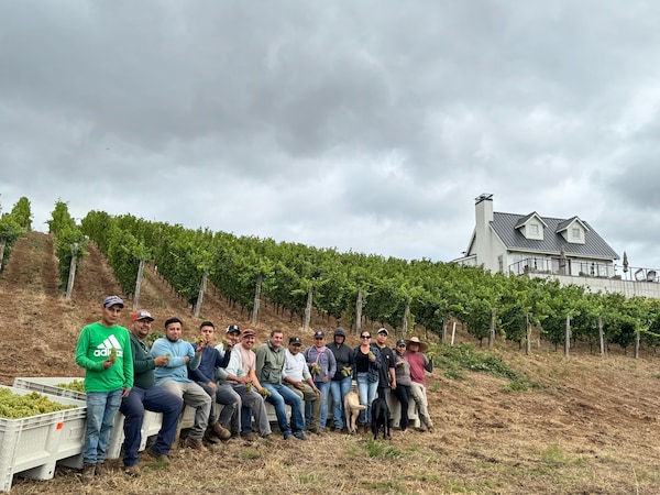 agriculture, plantation, field, farm, winery, soil